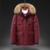 Winter New Men Solid Color Parkas White Duck Down Men Stand Collar Warm Thick Jacket Male Detachable Hat Casual Parka Coat